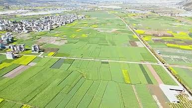 云南万亩良田农业种植农业生态航拍素材视频的预览图
